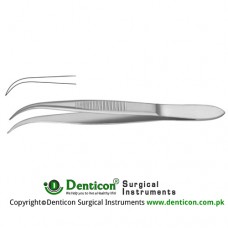 Splinter Forcep Curved - Smooth Jaws Stainless Steel, 12.5 cm - 5"